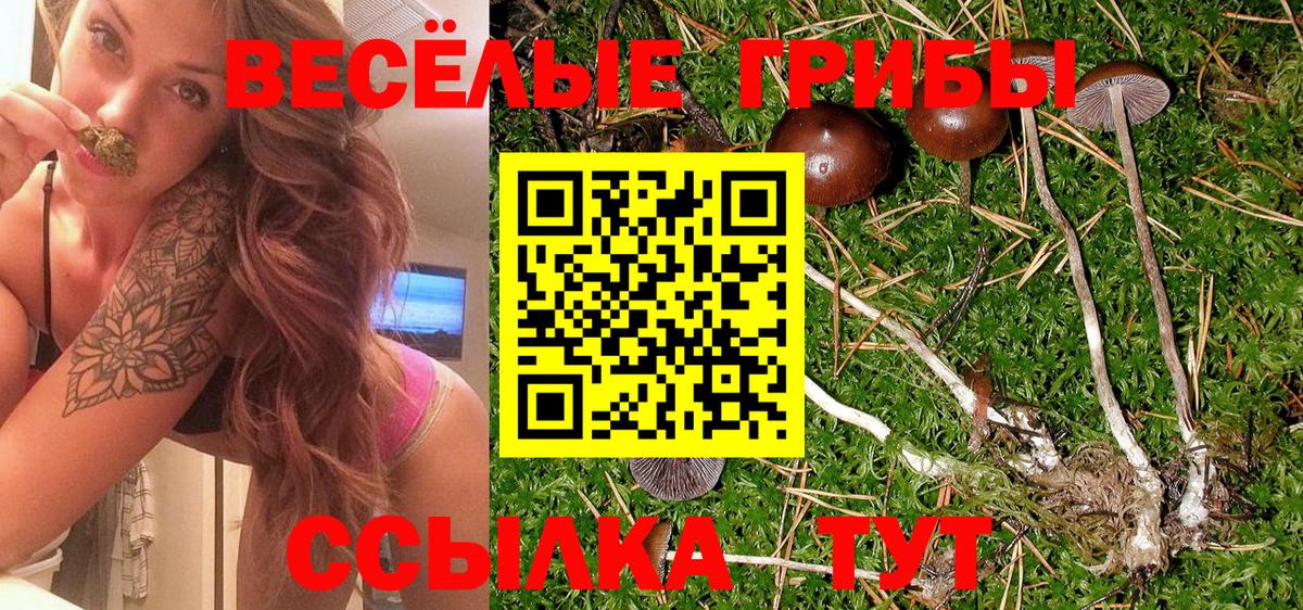 Тула  Псилоцибиновые грибы ЛСД  Вход с VPN 
