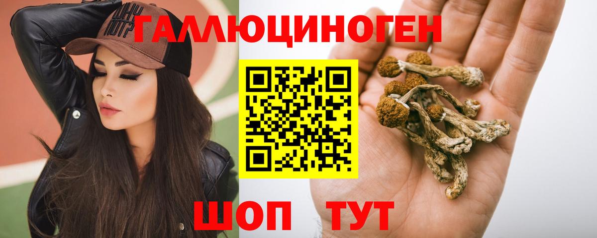 Псилоцибиновые грибы Cubensis Тула